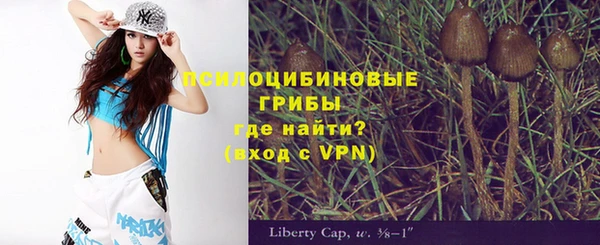 ПСИЛОЦИБИНОВЫЕ ГРИБЫ Кинешма