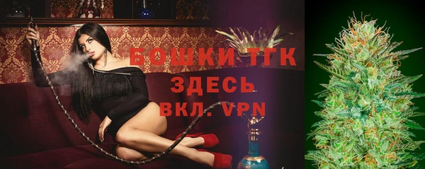 дмт Киреевск