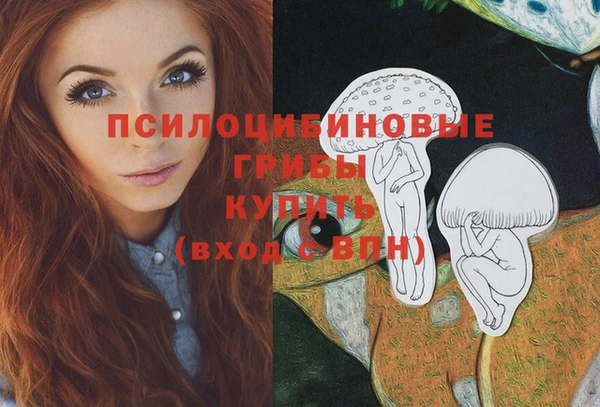 MDMA Premium VHQ Козельск