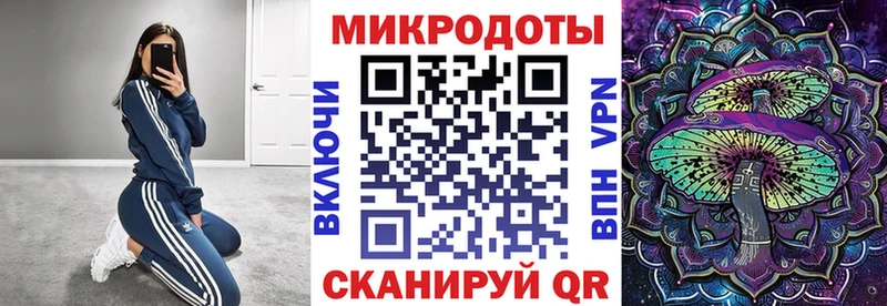 Псилоцибиновые грибы MAGIC MUSHROOMS  где продают наркотики  Сальск 